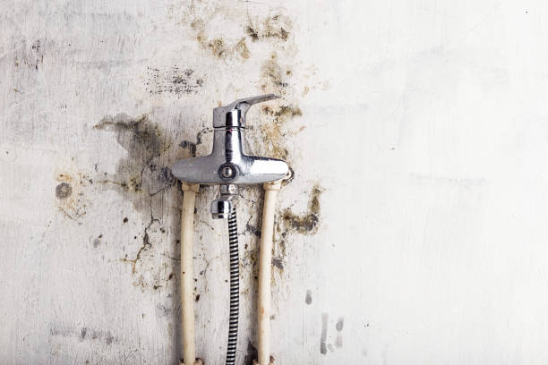Best Residential Mold Removal  in Pine Mountain Clu, CA