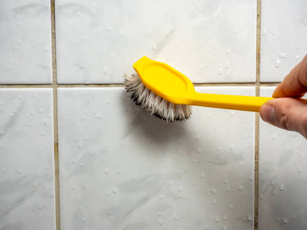 Best Same-Day Mold Removal  in Pine Mountain Clu, CA