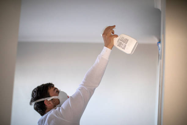 Mold Removal Process in Pine Mountain Clu, CA