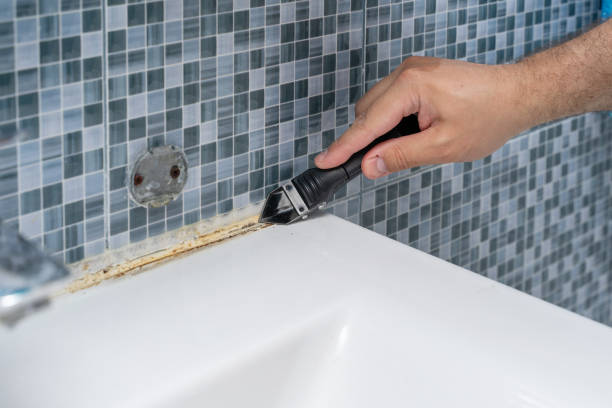  Pine Mountain Clu, CA Mold Removal Pros